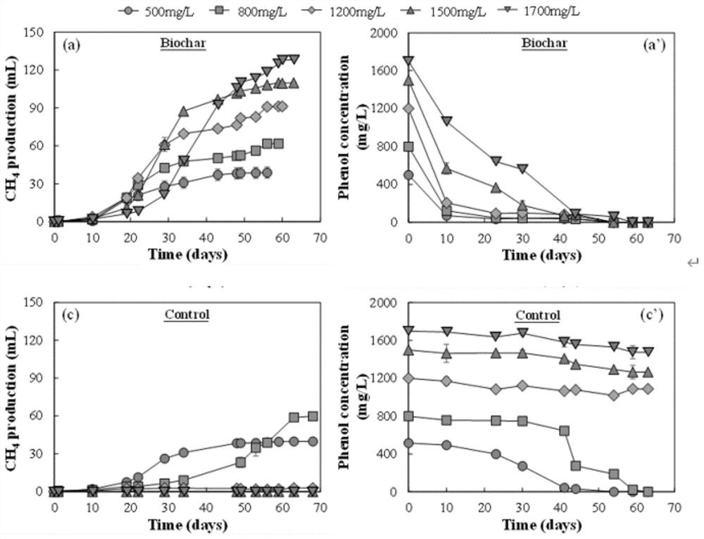 Method for promoting anaerobic degradation of phenolic wastewater by adding biochar