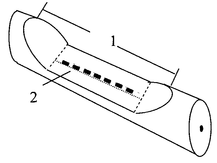 Optical fibre sensor and application thereof to refracting index and strain measurement