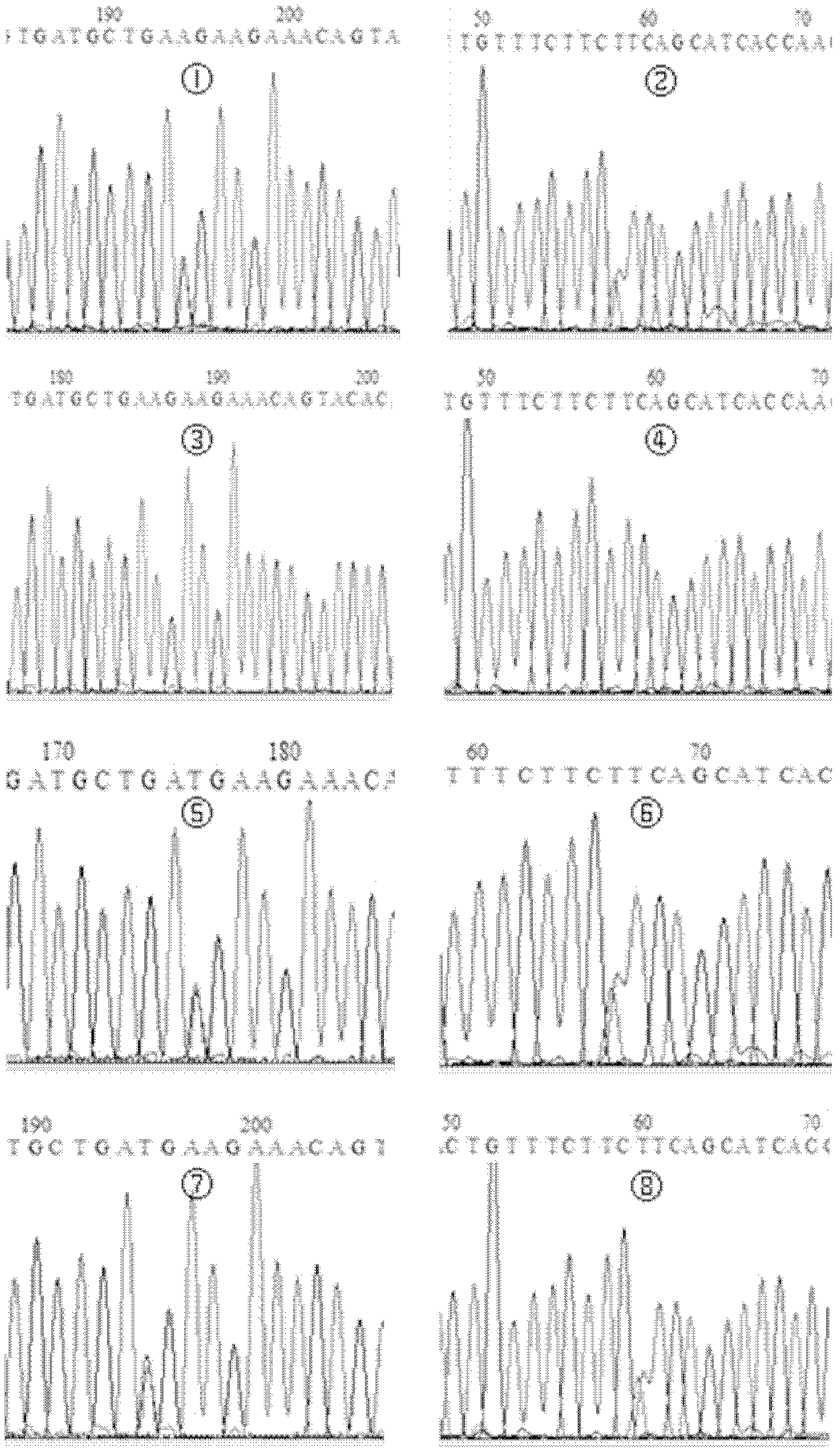 Alzheimer disease pathogenic gene and application thereof