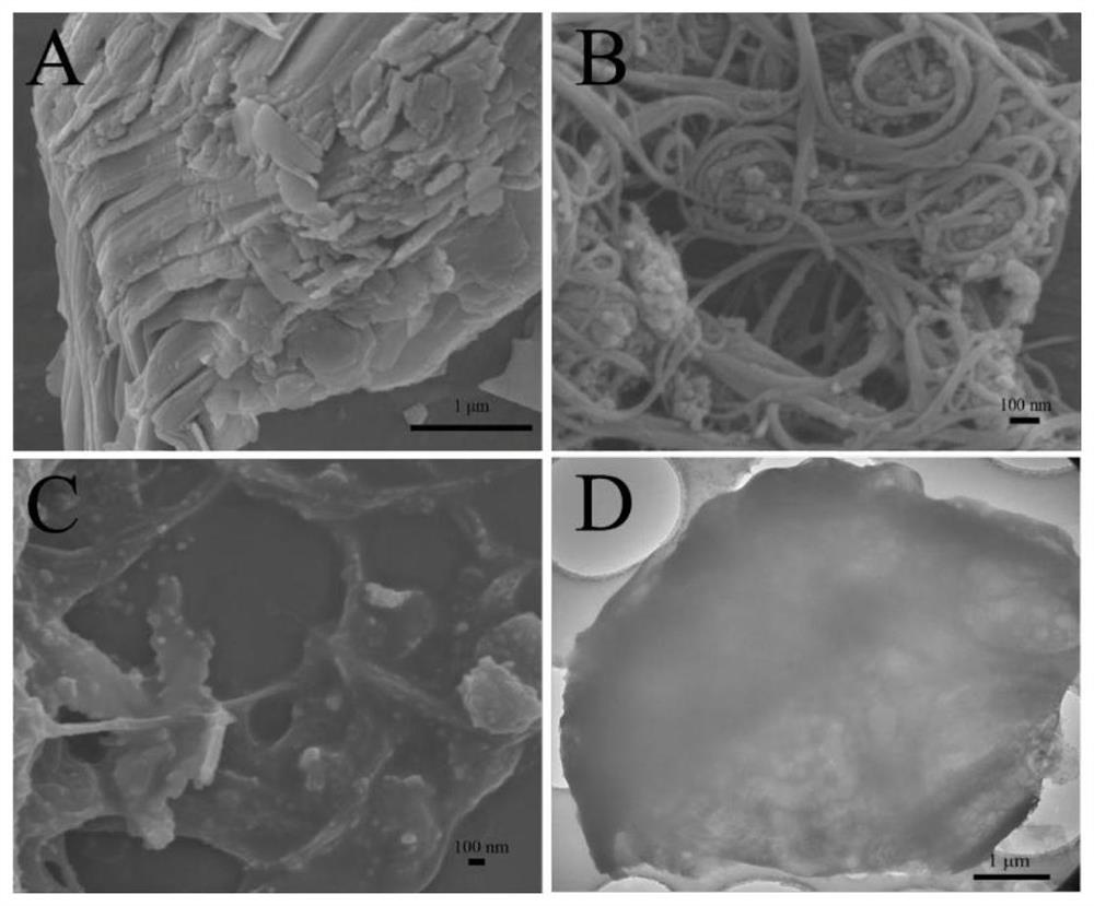 Electro-catalysis application of horseradish peroxidase sensor constructed by black phosphorus-based composite material