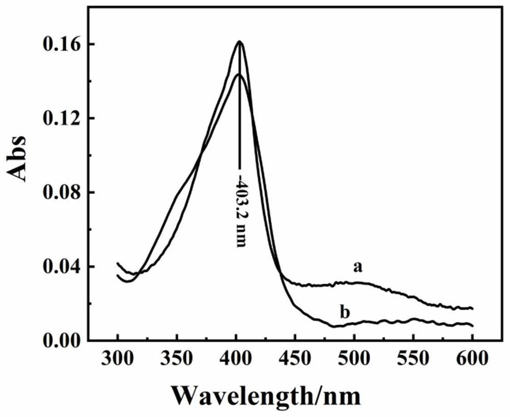 Electro-catalysis application of horseradish peroxidase sensor constructed by black phosphorus-based composite material