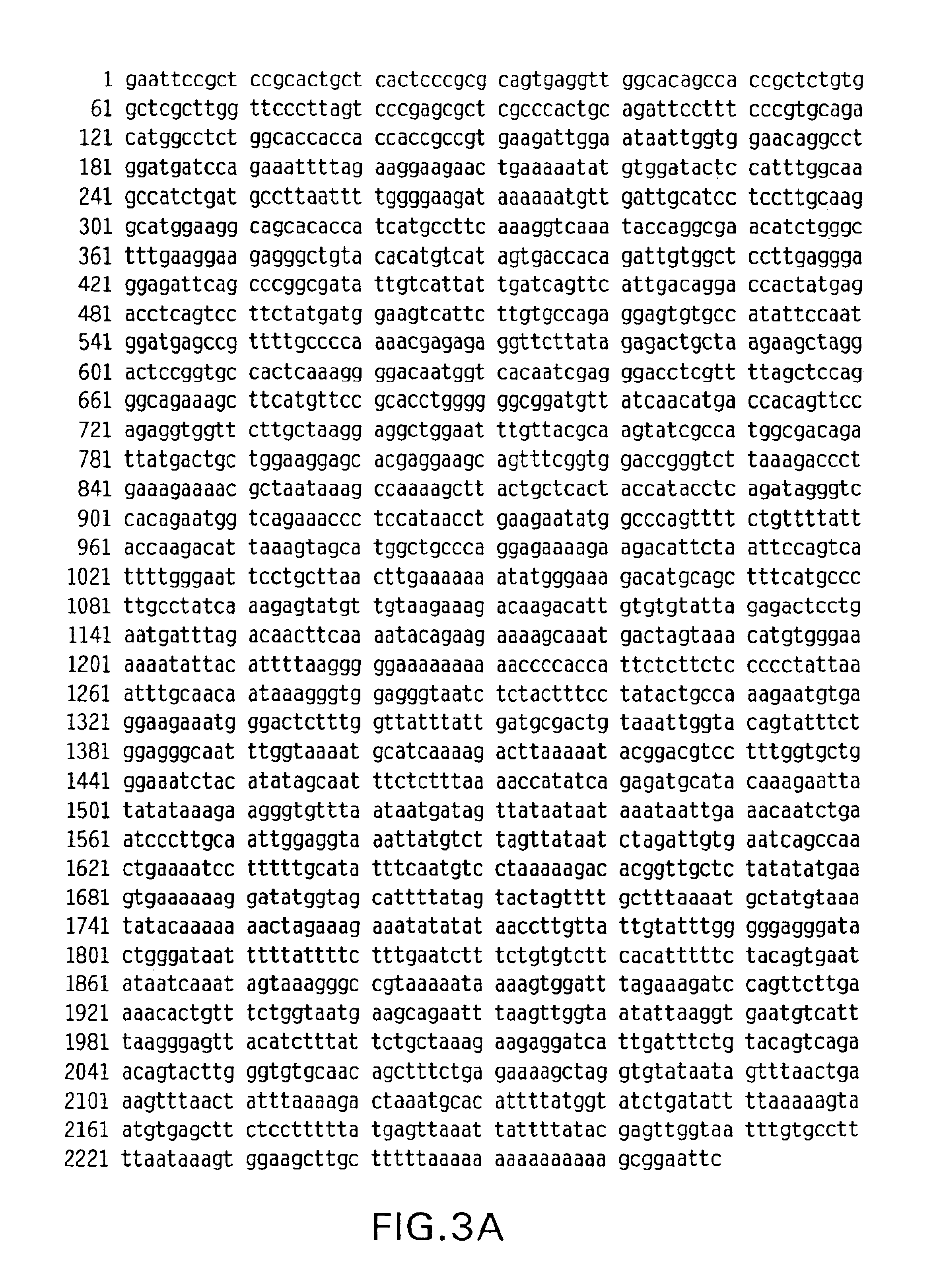 Methylthioadenosine phosphorylase compositions and methods of use in the diagnosis and treatment of proliferative disorders