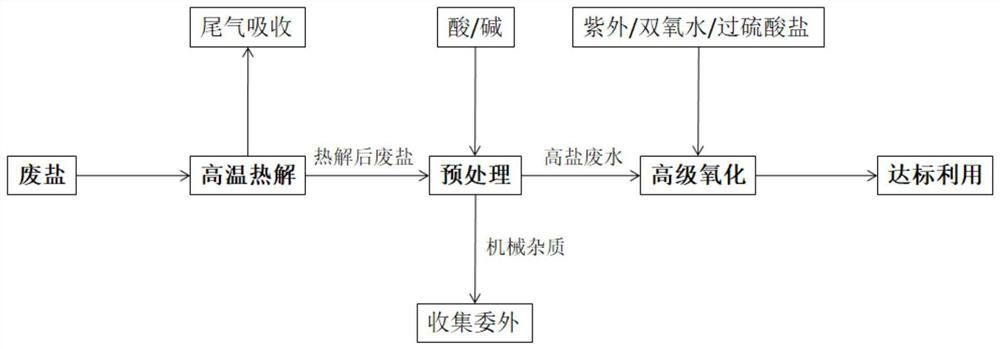 A high-salt wastewater advanced oxidation method, industrial waste salt resource treatment method and equipment