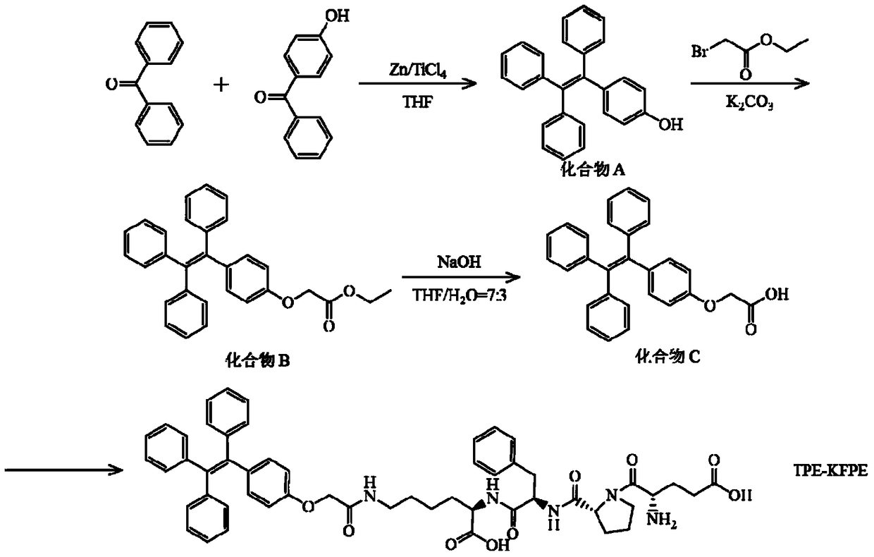 A polypeptide for dpp-4 detection and a fluorescent probe comprising the polypeptide