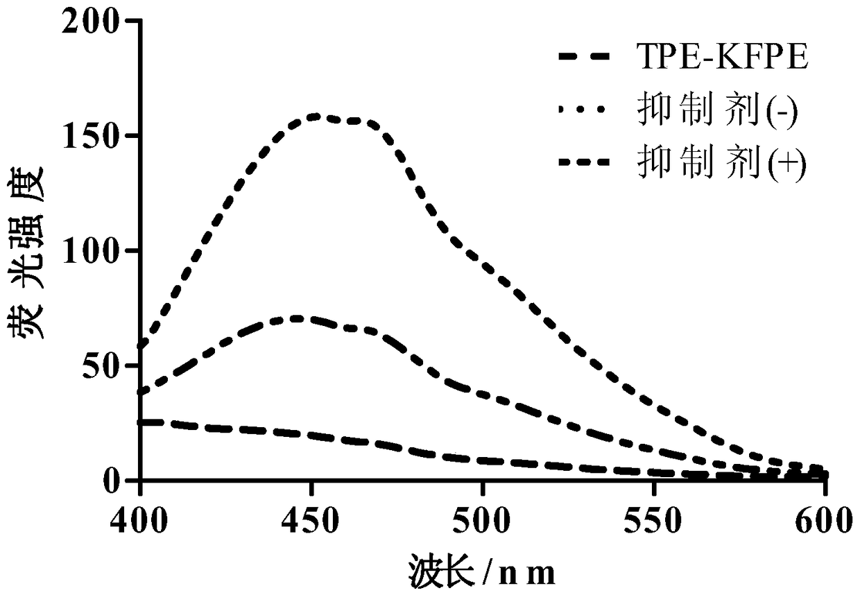 A polypeptide for dpp-4 detection and a fluorescent probe comprising the polypeptide