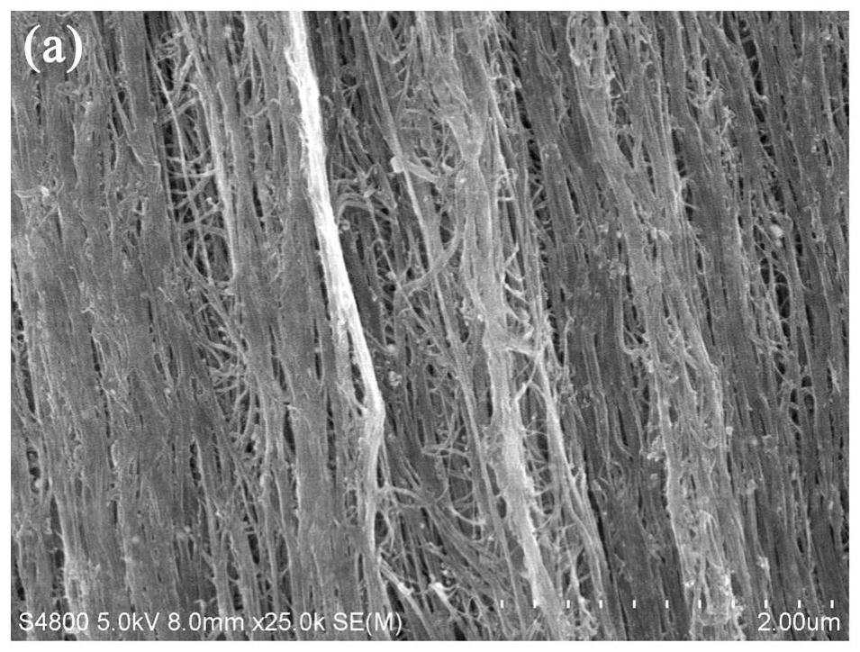 Post-treatment method for improving densification degree of carbon nanotube fibers