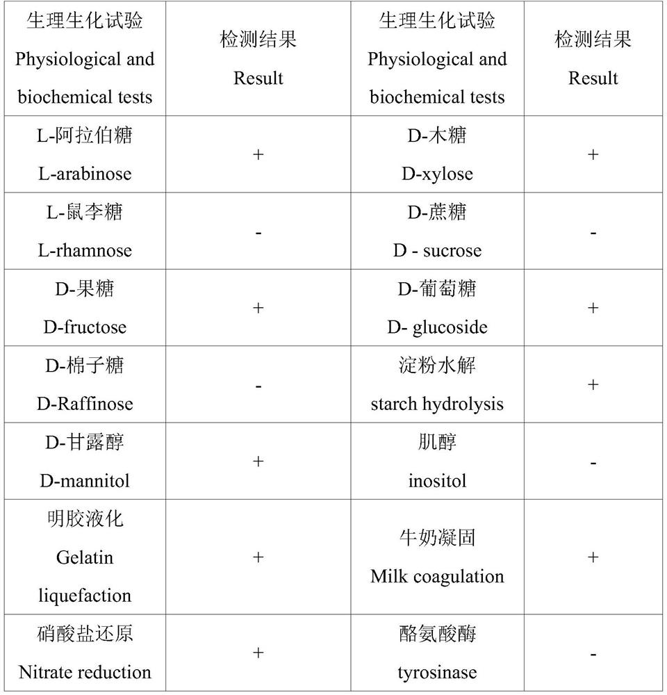 Grape rhizosphere antagonistic growth-promoting Streptomyces F2 and application thereof