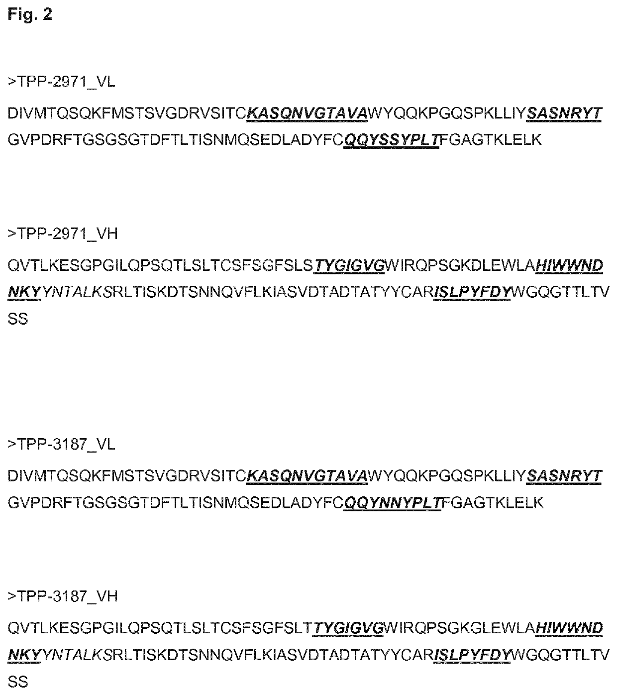 Anti-CEACAM6 antibodies and uses thereof