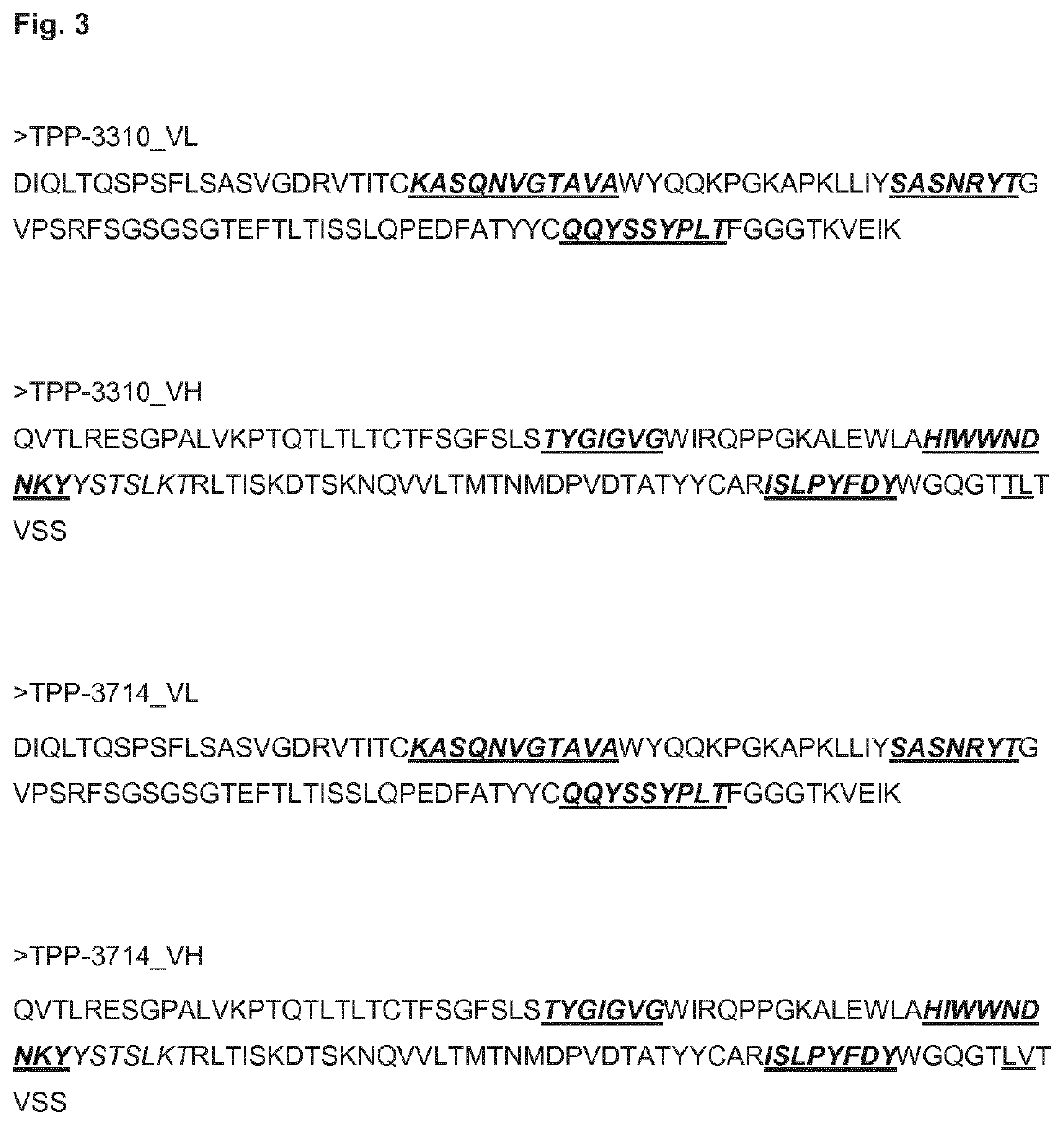 Anti-CEACAM6 antibodies and uses thereof