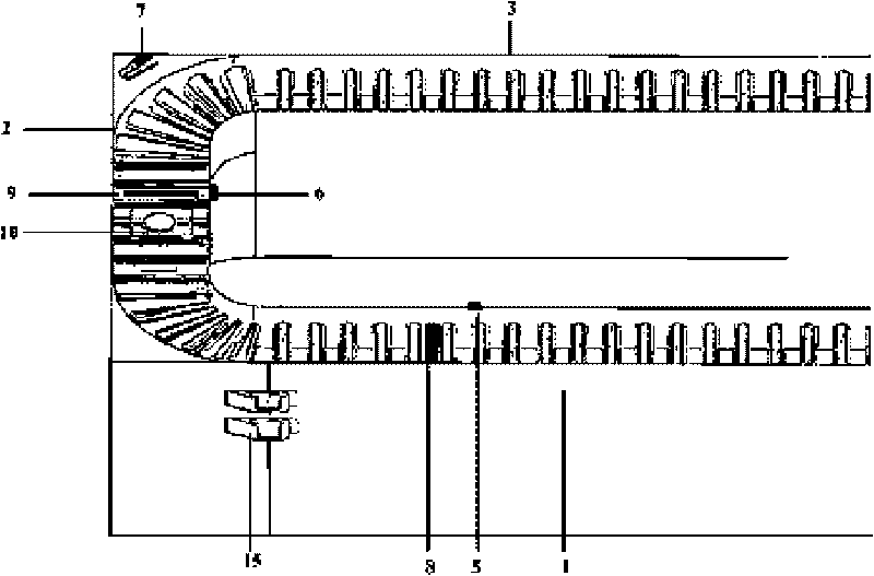 Automatic conveyor line for potted plant parameter measurement