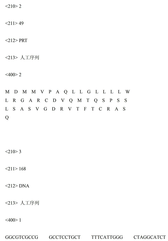 Antibody screening method based on heavy chain library/light chain library of infectable virus particle type antibody and preparation method of heavy chain library/light chain library