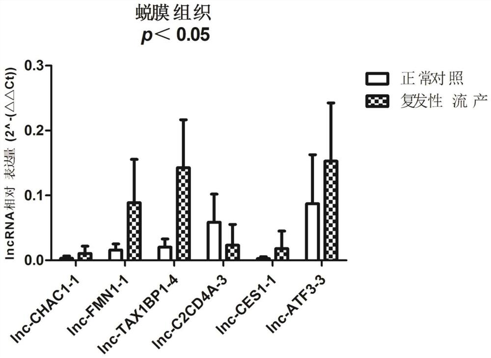 Serum lncRNA markers, primer sets, applications and kits for diagnosing unexplained recurrent miscarriage