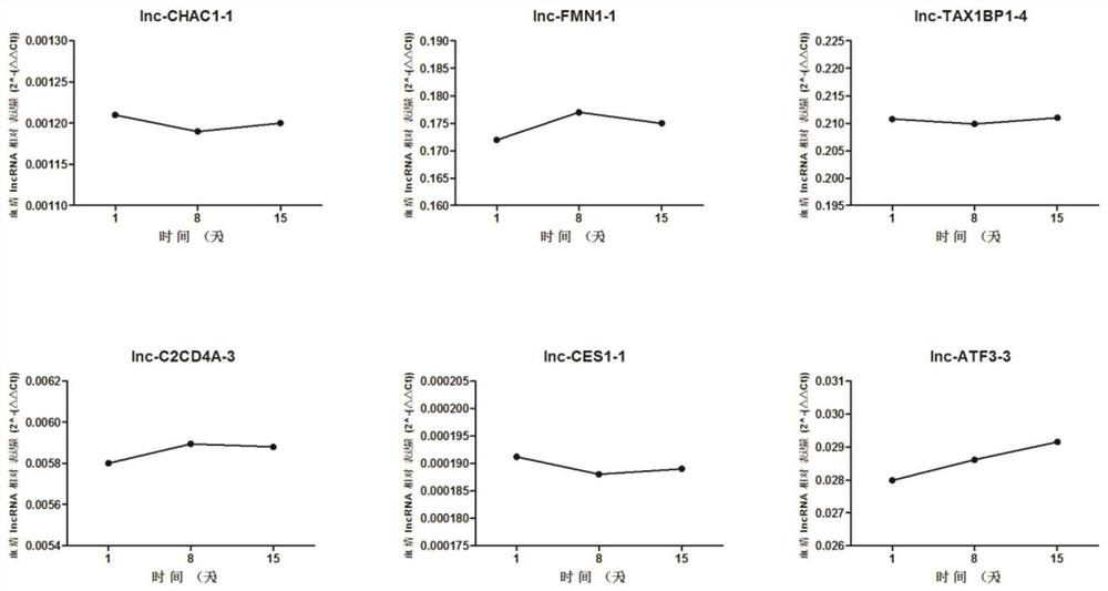 Serum lncRNA markers, primer sets, applications and kits for diagnosing unexplained recurrent miscarriage