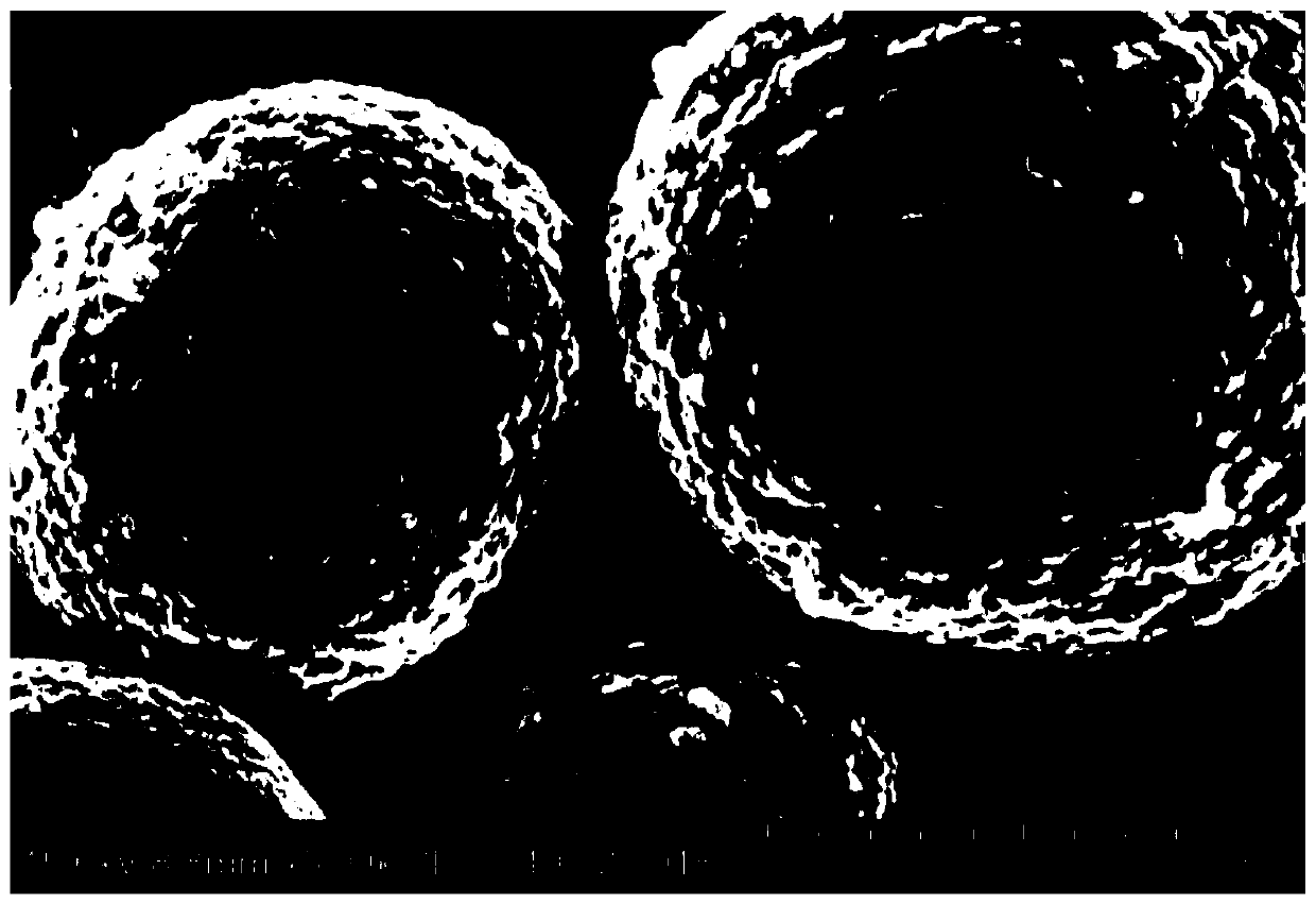 High nickel positive electrode material with uniform coating layer and preparation method thereof