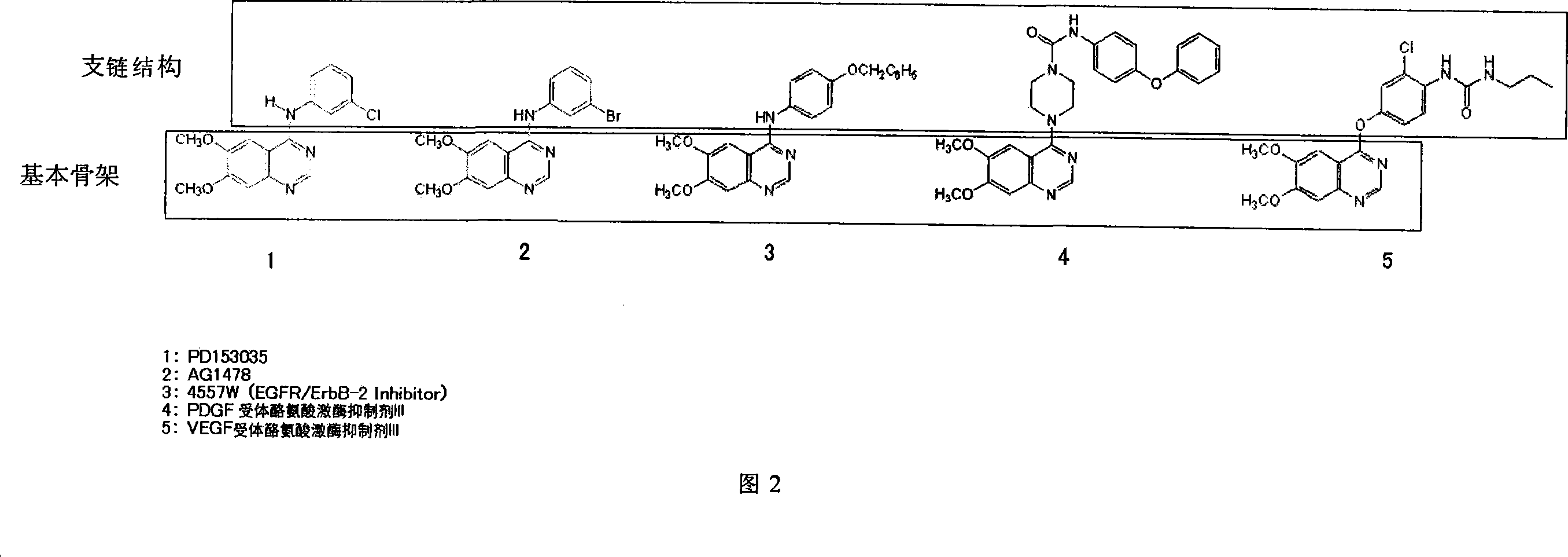 Method for assessing proliferation inhibiting effect of inhibitor, and method for determining sensitivity of tumor cell to inhibitor