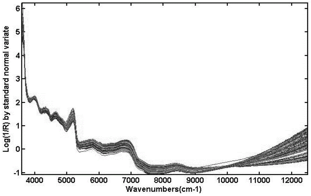 Method for distinguishing fermentation quality of Congou black tea based on leaf colour