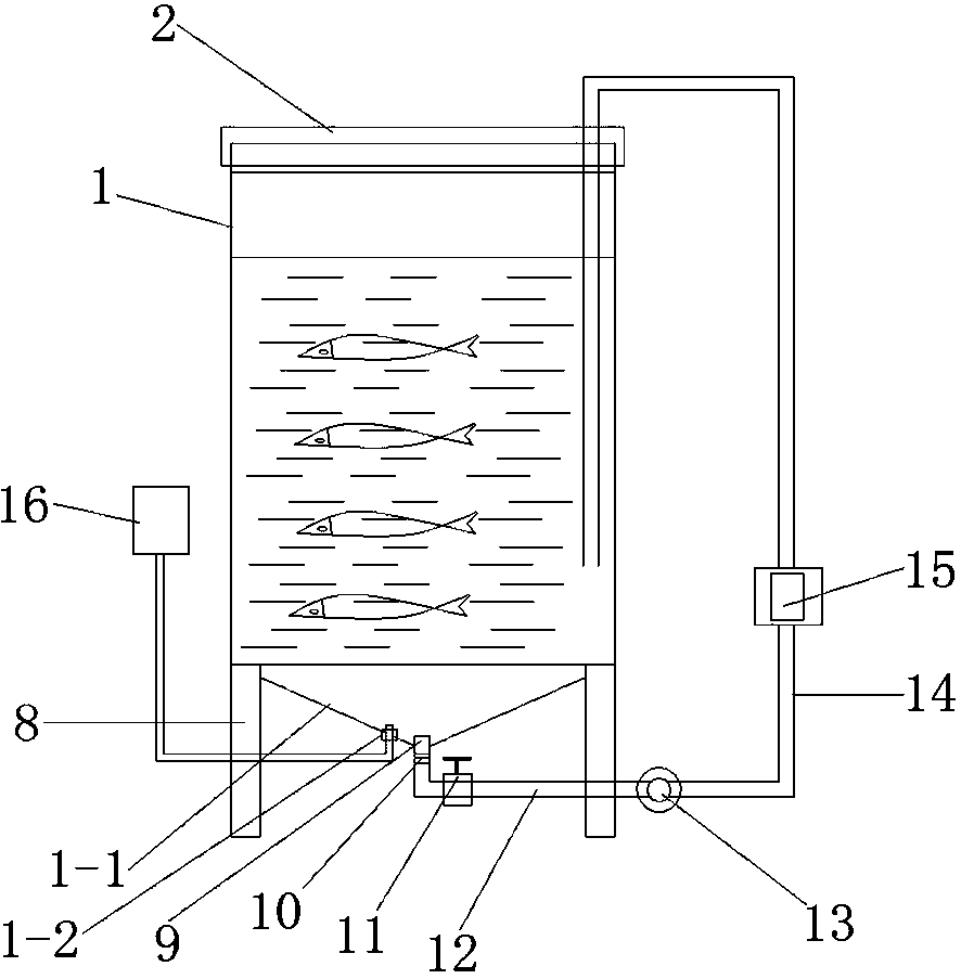 Living coilia ectenes storage and transportation equipment and storage and transportation method thereof