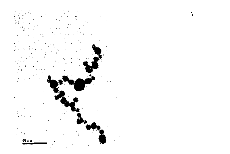 Antibacterial nano-silver composite polyurethane material and preparation method thereof