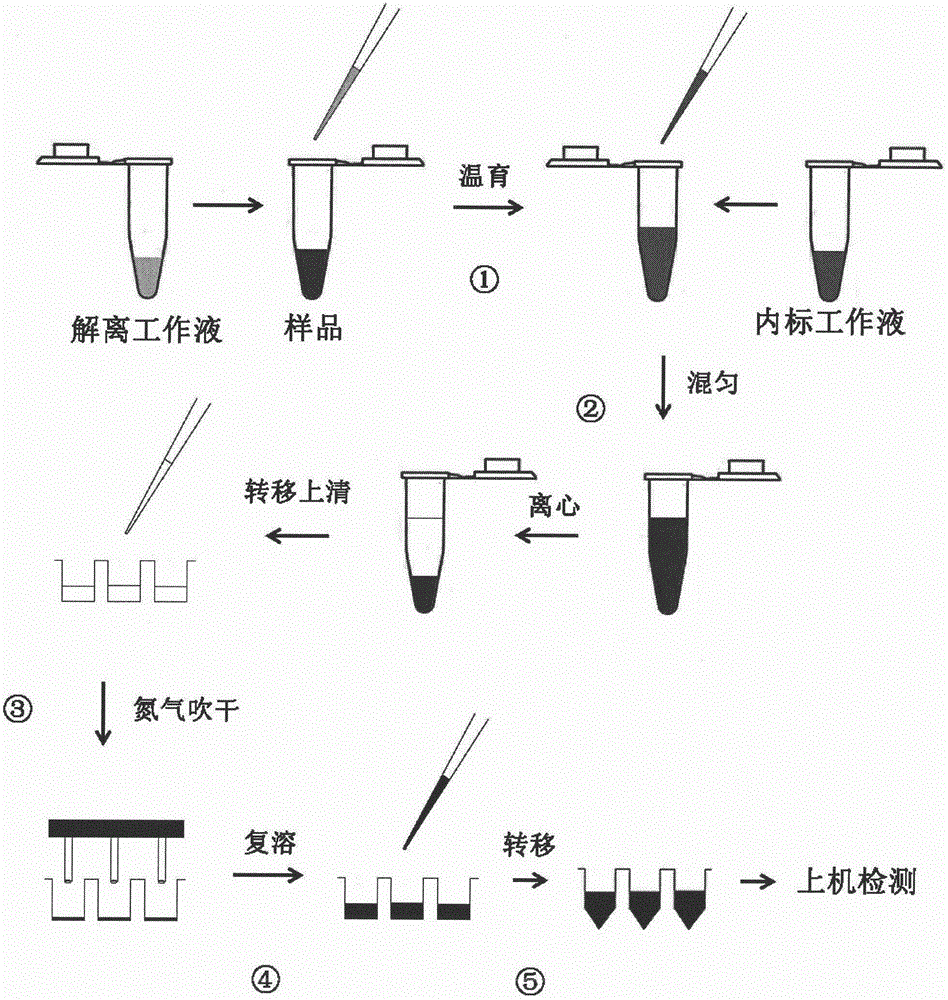 Kit capable of detecting human serum folate and metabolites thereof through tandem mass spectrometry