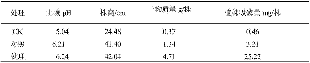 Nutrient sustained-release acid soil conditioner and preparation method thereof