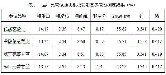 Method of improving Huaxi gray radish new variety breeding