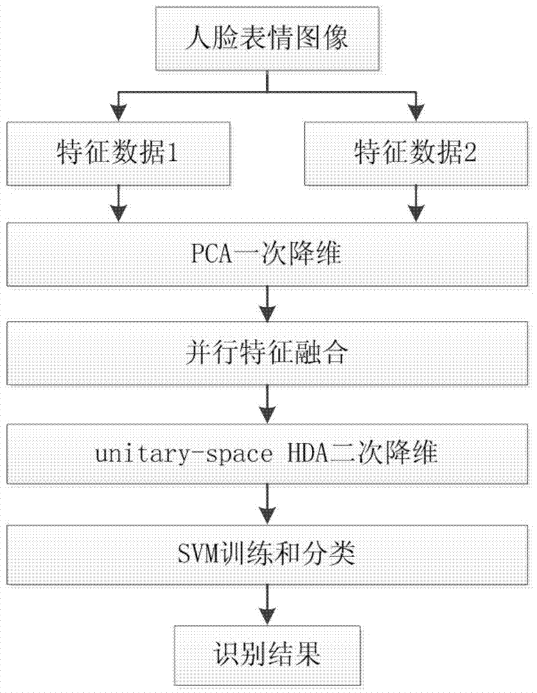 A Facial Expression Recognition Method Based on Two-step Dimensionality Reduction and Parallel Feature Fusion