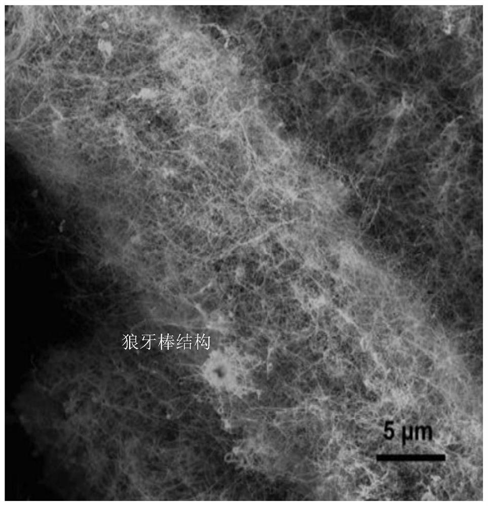 Bn nanotube interfacial phase strengthened and toughened carbon fiber reinforced ceramic matrix composite material and preparation method thereof