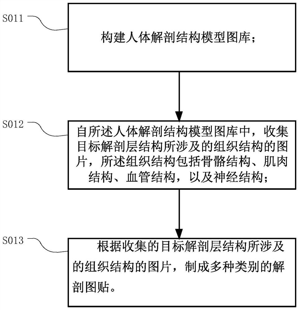 Anatomy map stickers and production method thereof, method for forming human anatomical structure patterns