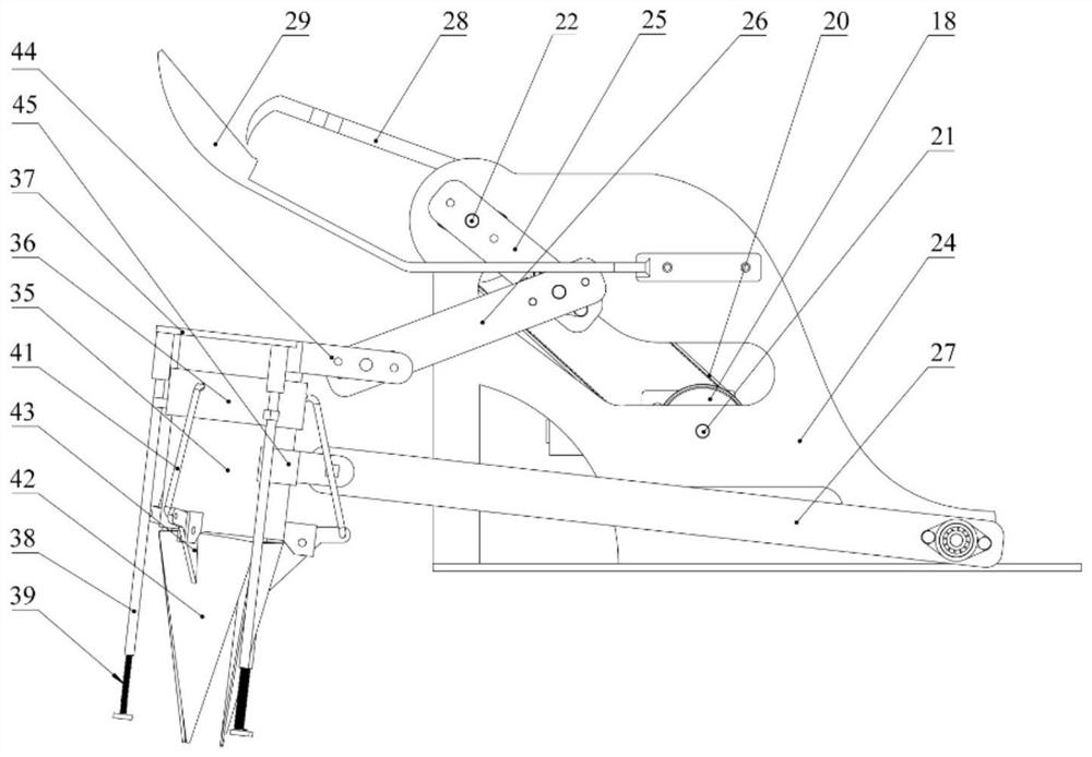 Device and method for transplanting seedlings in dry land