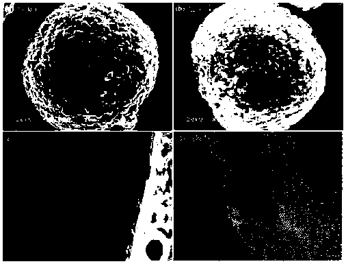 Molybdenum disulfide-coated lithium nickel cobalt manganate composite material, and preparation method and application thereof