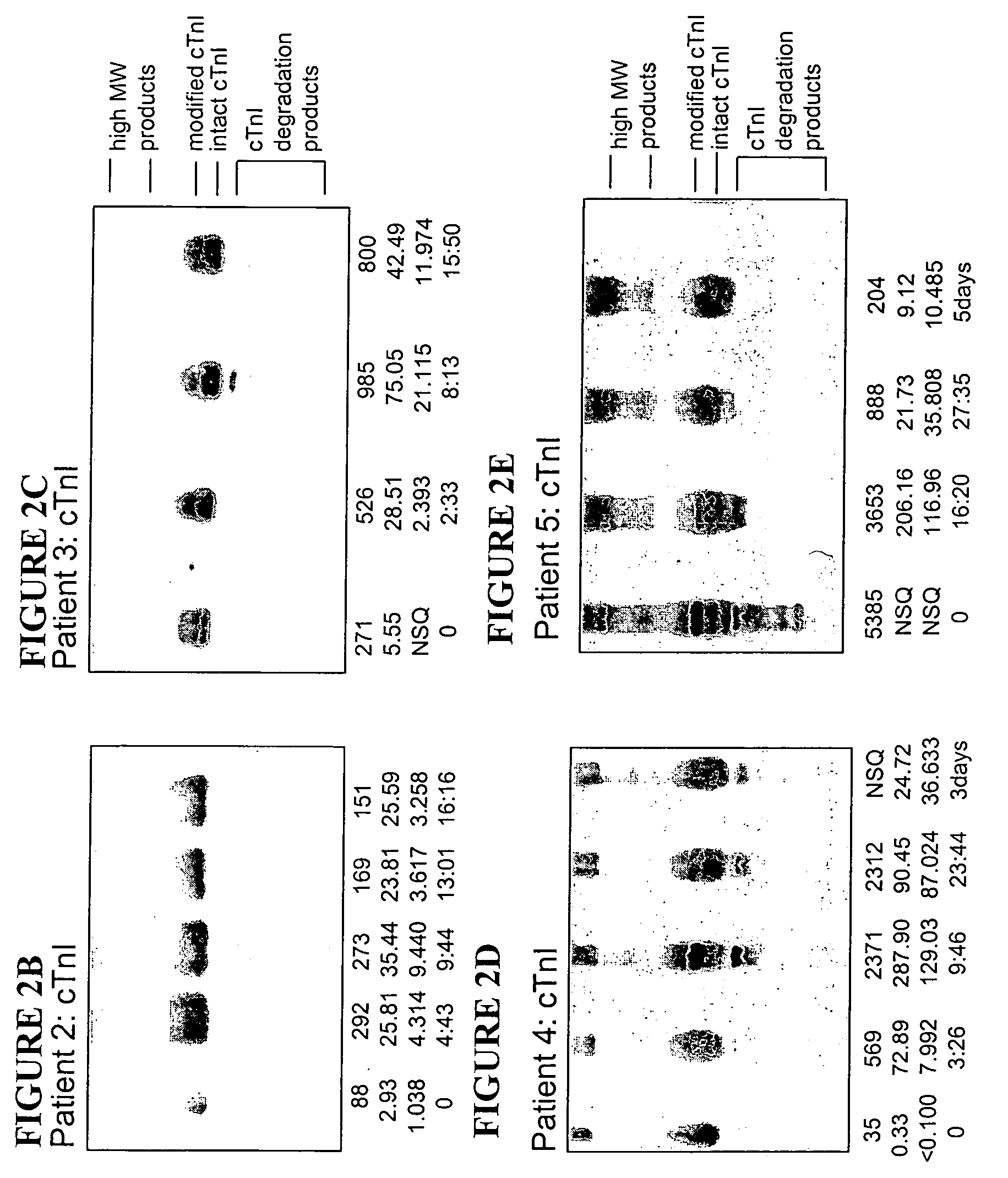 Methods and kits for separation and detection of proteins in biological samples