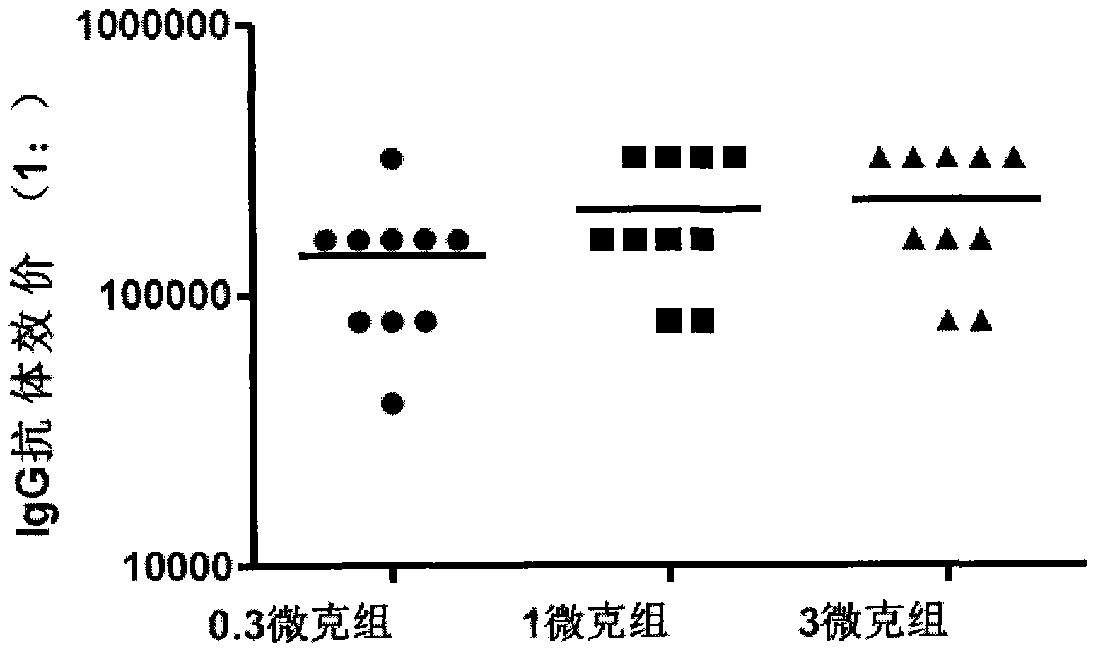 Coxsackie virus A16 virus strain, uses of strain, vaccine and preparation method of vaccine