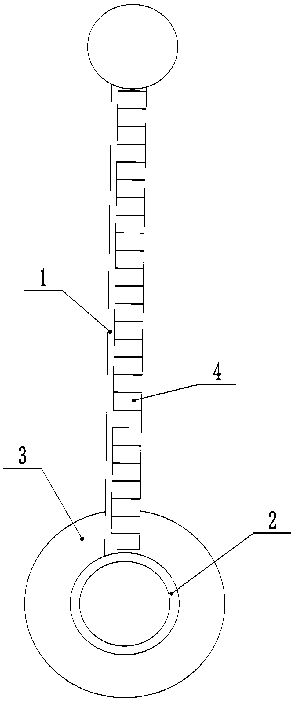 Screen-rollable mobile communication terminal