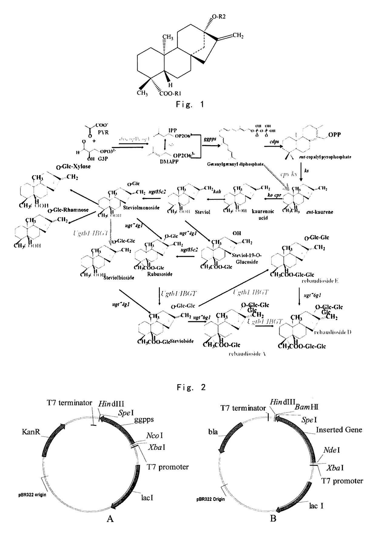 Method for producing stevioside compounds by microorganism