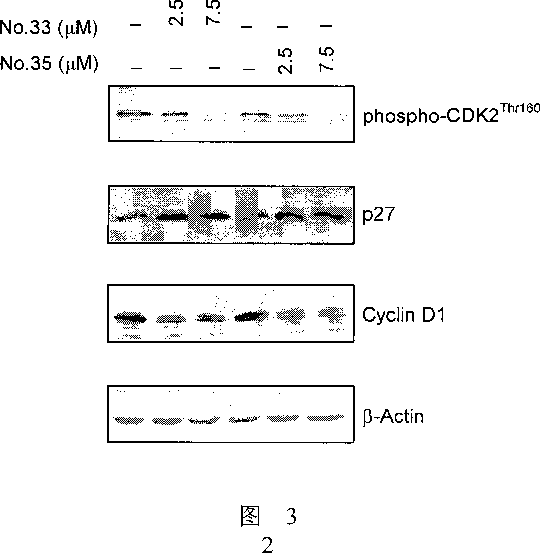 7-azaindirubin and 7-azaisoindigo derivative, its production and pharmaceutical use