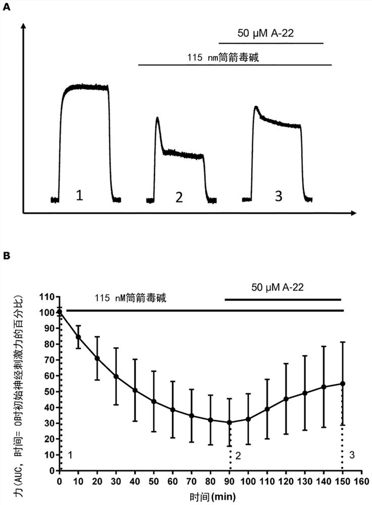 Compounds for the treatment of neuromuscular disorders