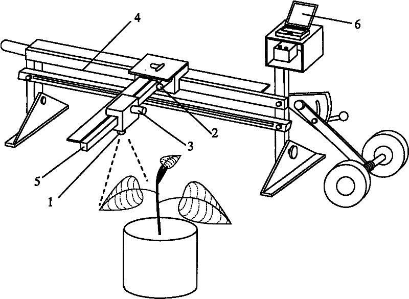 Method for measuring stress state of plant water