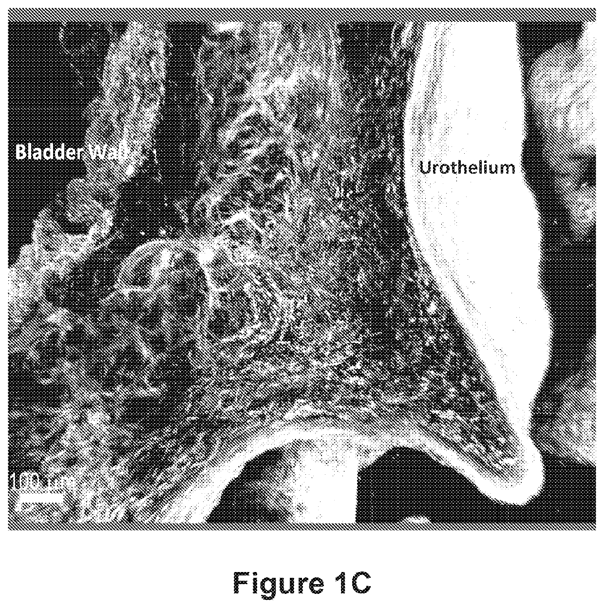 Compositions and methods for clearing a biological sample