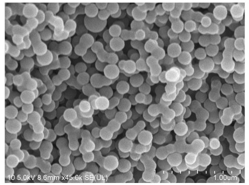 Preparation method and application of lithium battery negative plate