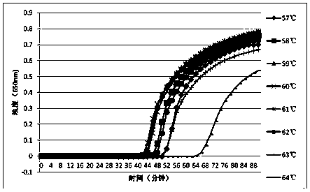 LAMP detection method of clostridium difficile binary toxin and special primers and kit for LAMP detection method