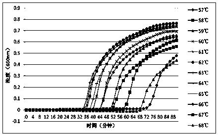 LAMP detection method of clostridium difficile binary toxin and special primers and kit for LAMP detection method