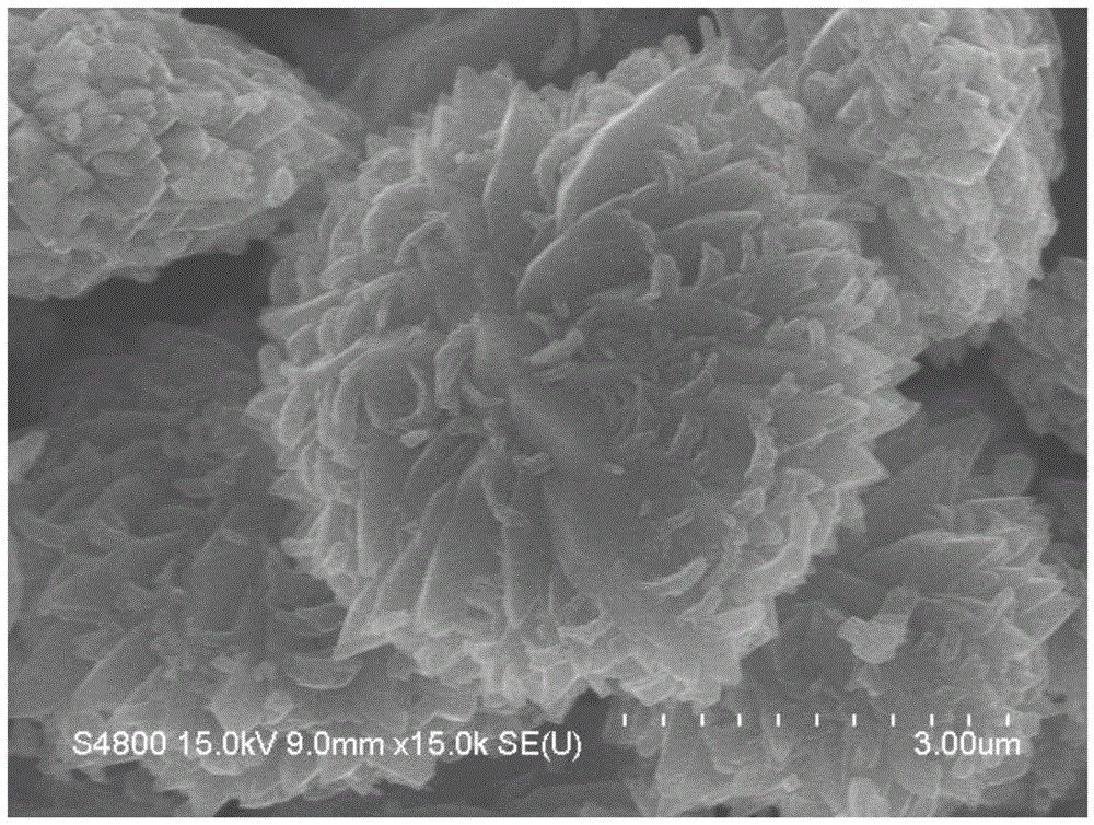 Preparation method of cauliflower-shaped brookite type titanium dioxide