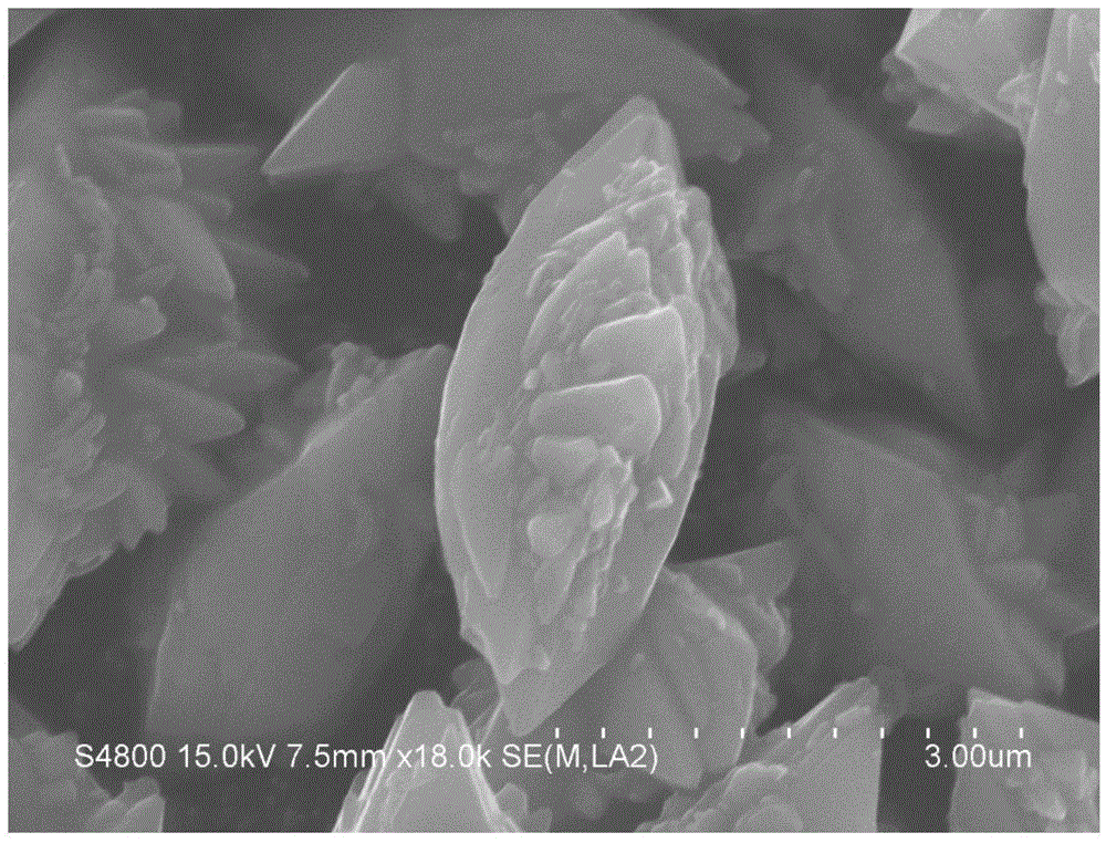 Preparation method of cauliflower-shaped brookite type titanium dioxide