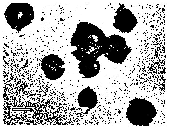 A kind of tumor chemotherapeutic drug preparation combination