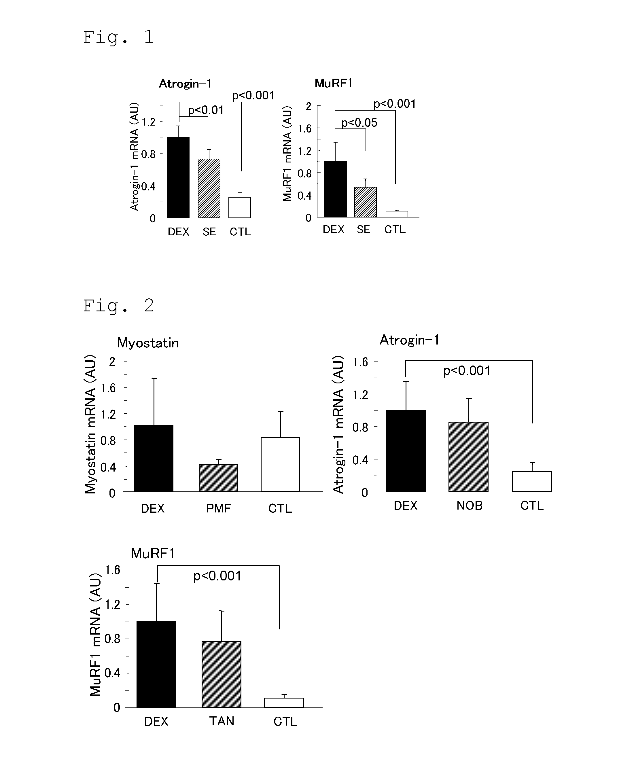 Muscle atrophy inhibitor