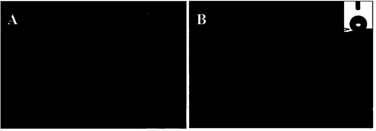 Method for preparing polymer superhydrophobic surface by virtue of hydrophobic nanoparticle spontaneous deposition