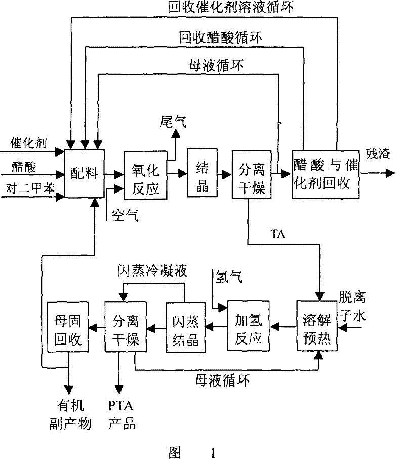 Modelling method for industrial device model for dimethylbenzene oxidation reaction