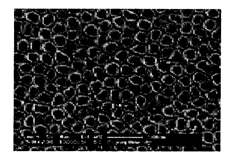 Preparation method of sulphur and fluorin-doped titanium dioxide nanotube