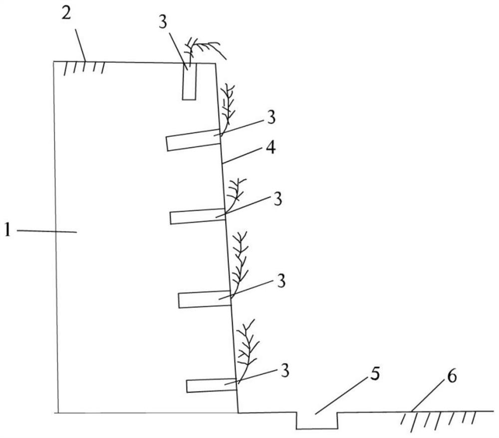 Ecological slope protection method for steep cliff slope and ecological pile thereof