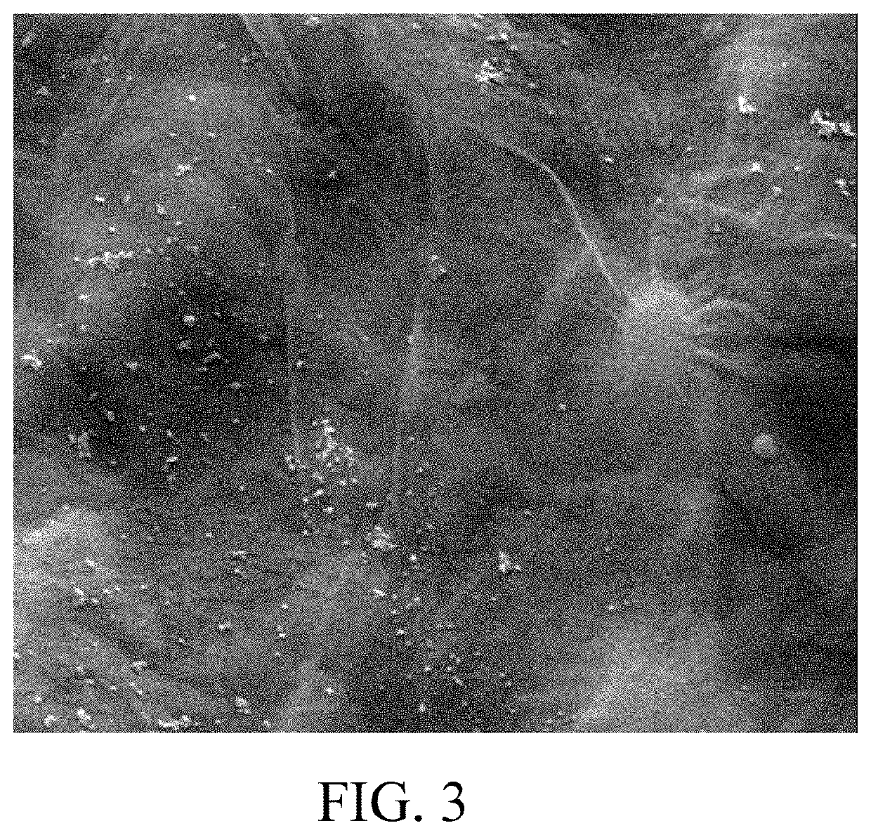 Nanocomposite membrane for heavy metal rejection and preparation method thereof